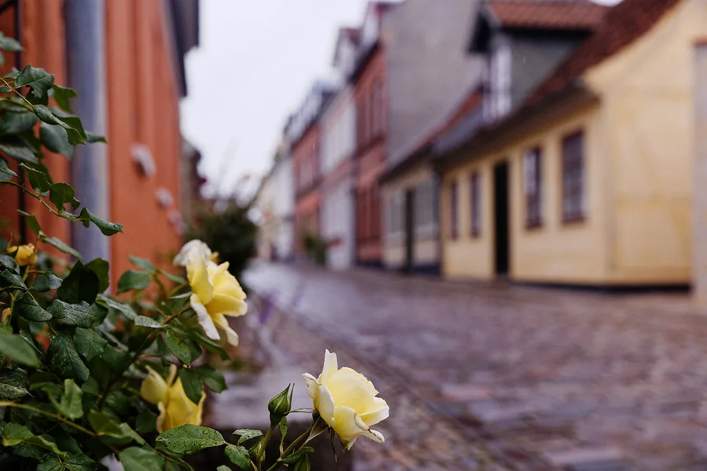 Odense Old Town Travel Guide