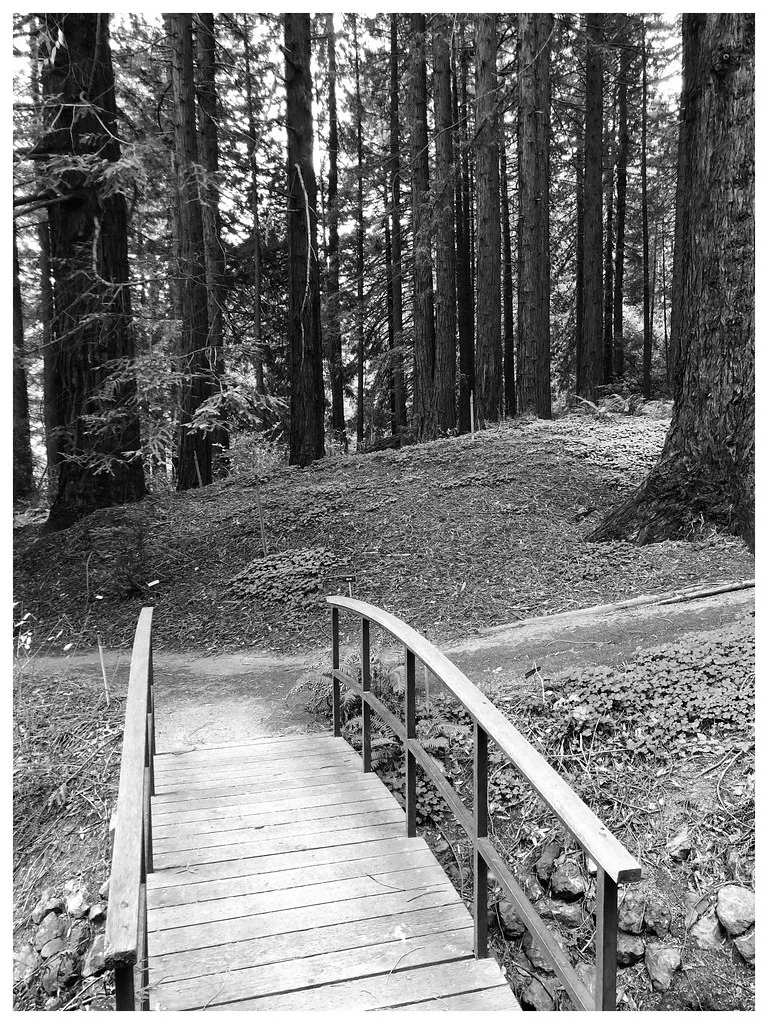 Aarhus Botanical Garden: The Story Behind Aarhus Botanical Garden