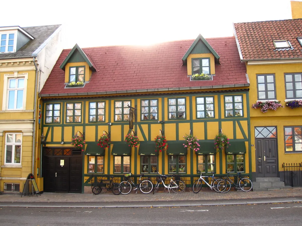 Dining experience in Odense, Denmark