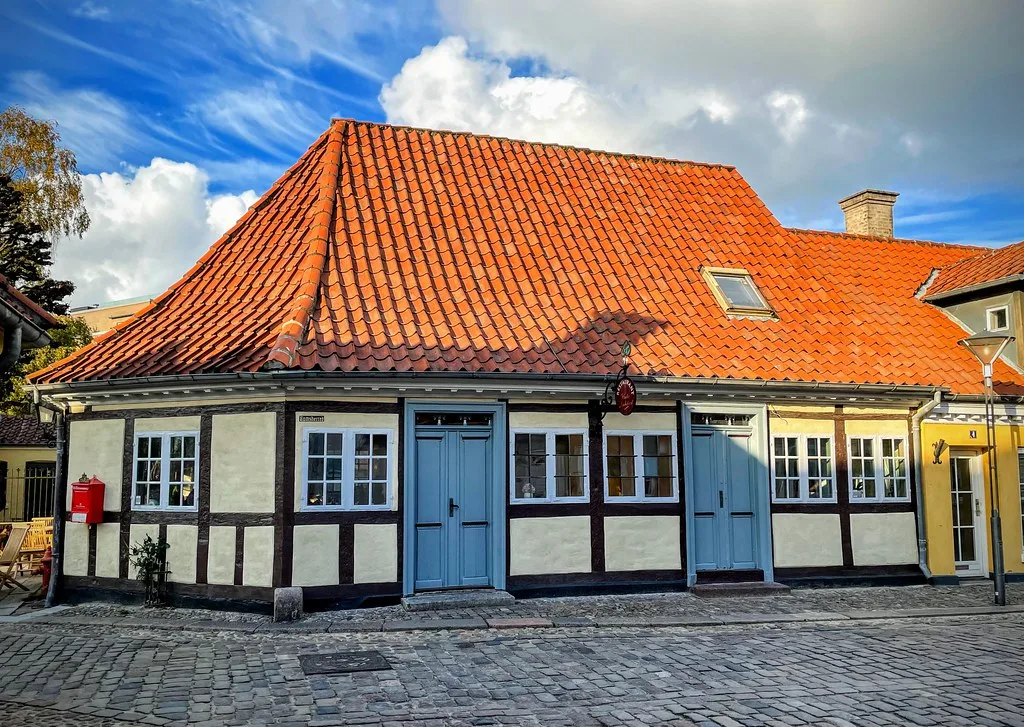 Dining experience in Odense, Denmark