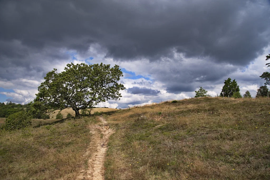 Gread Danish Landscape, day trips mols bjerge ebeltoft, Aarhus Denmark