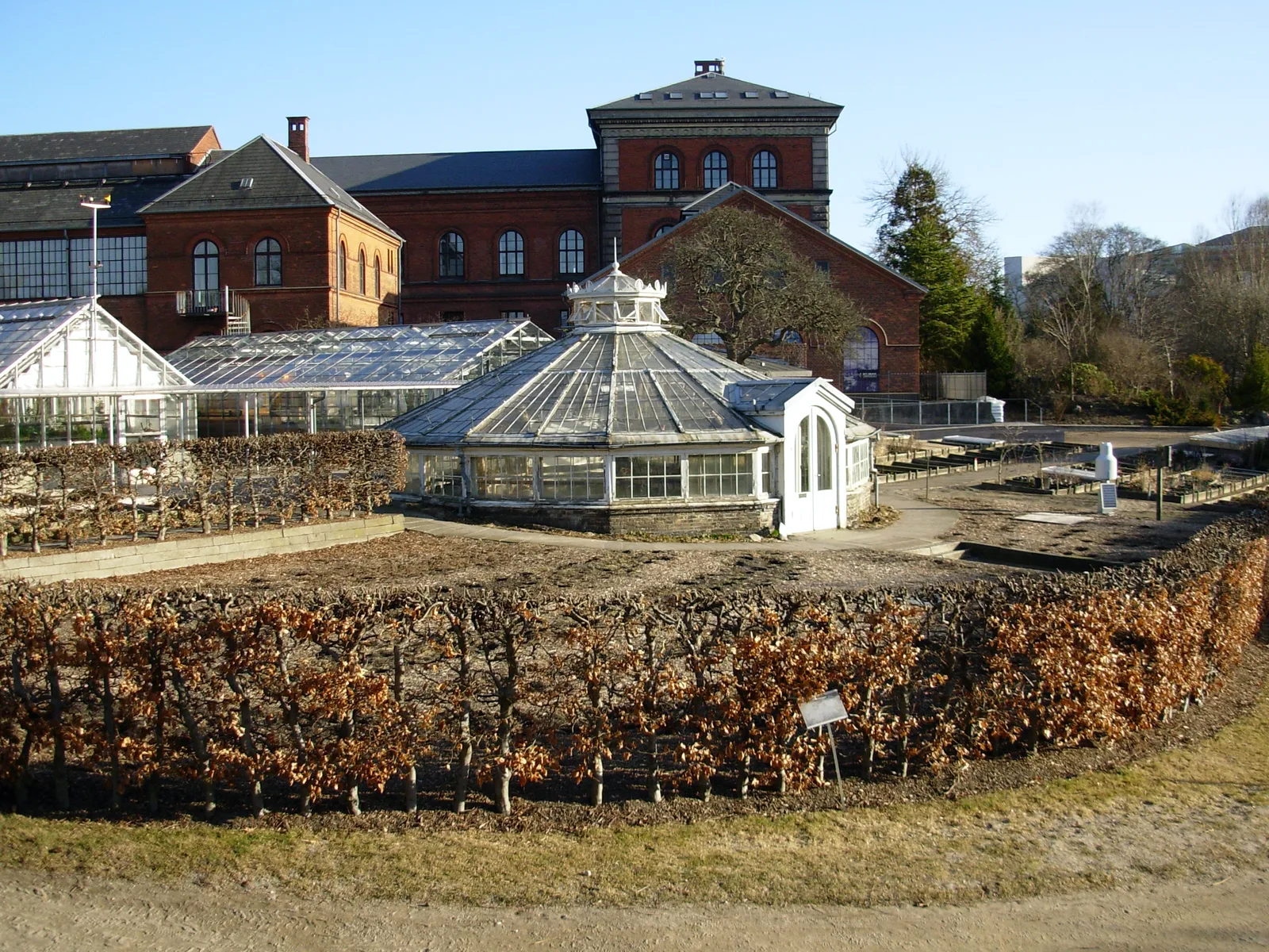 The Botanical Garden and the Palm House in Copenhagen, Denmark