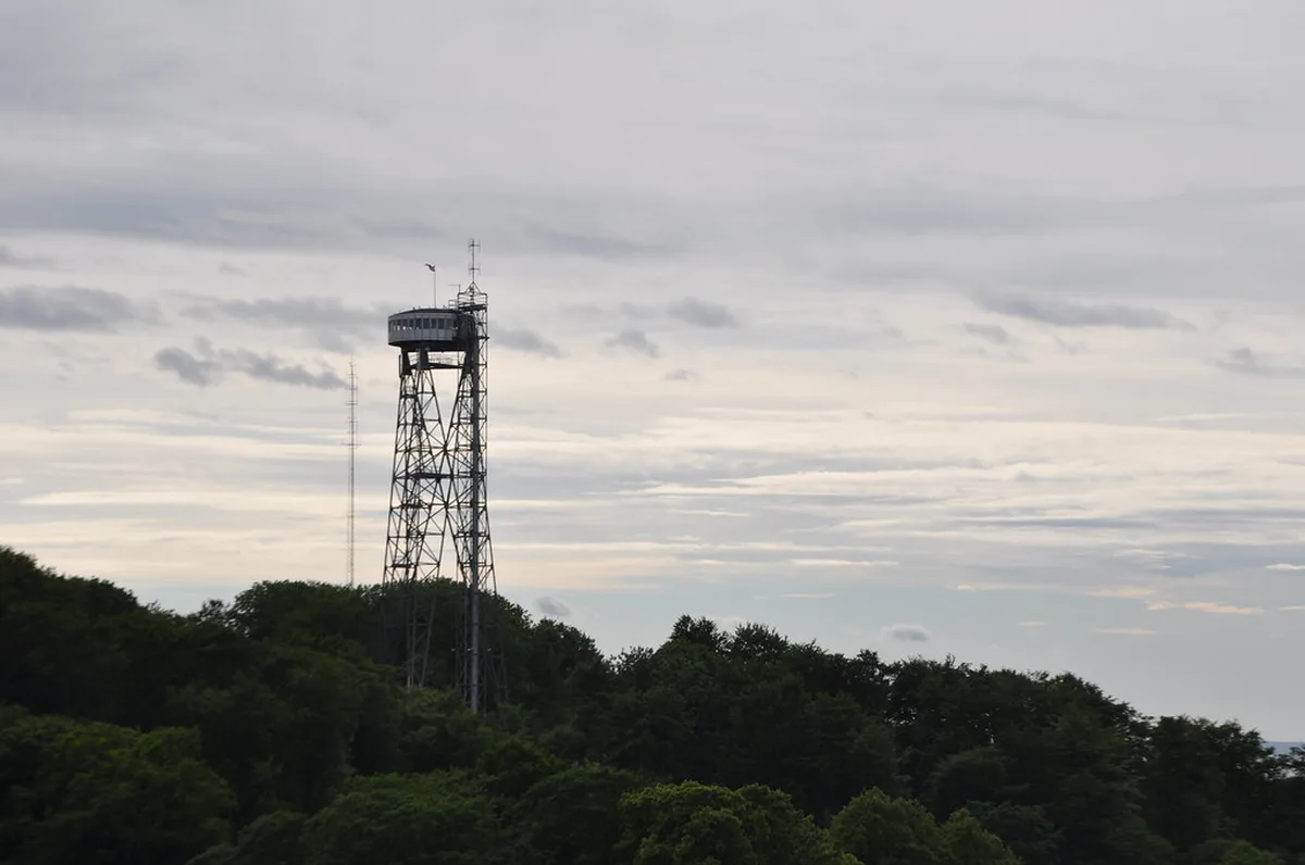 Trips Into North in Aalborg, Denmark