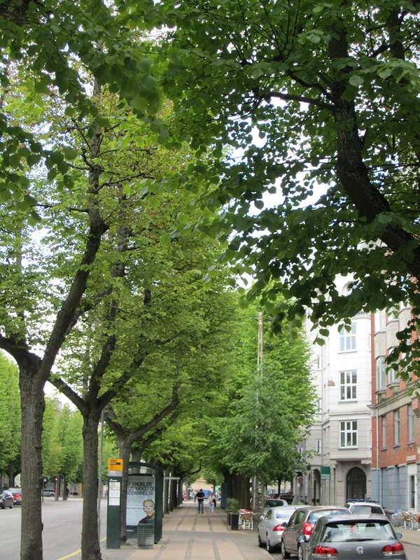 Experience the Magic of Tivoli Gardens in Copenhagen, Denmark